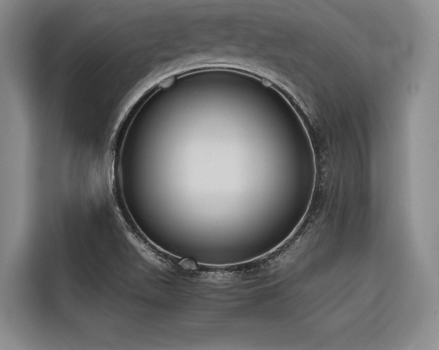 X0000116661511200912141310