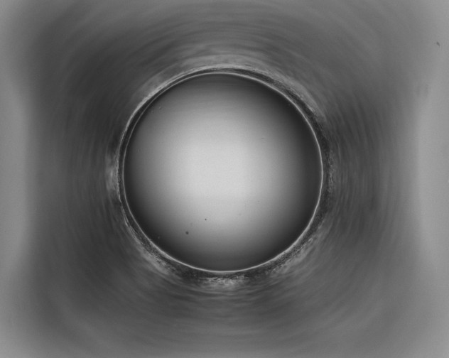 X0000116661513200912141310