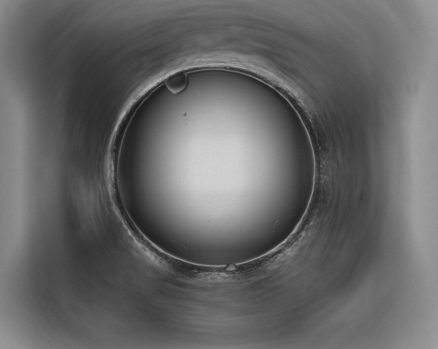 X0000116661517200912141310