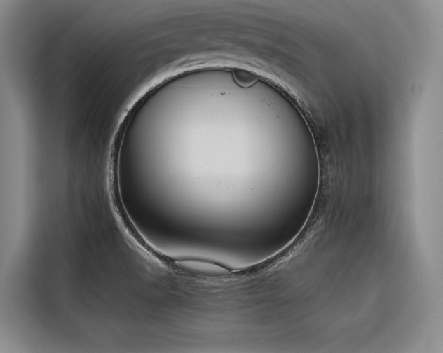 X0000116661518200912141310