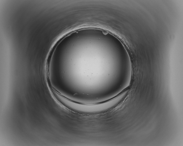 X0000116661519200912141310