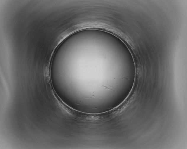 X0000116661521200912141310