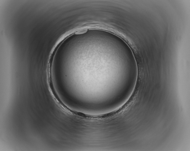 X0000116661522200912141310