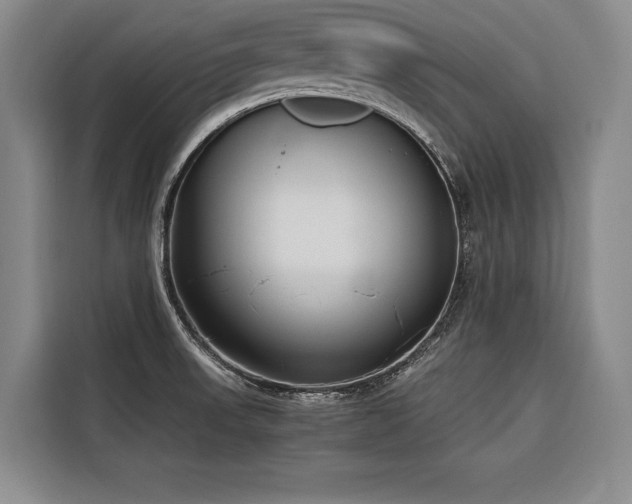 X0000116661523200912141310