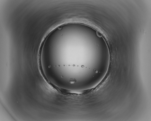 X0000116661525200912141310