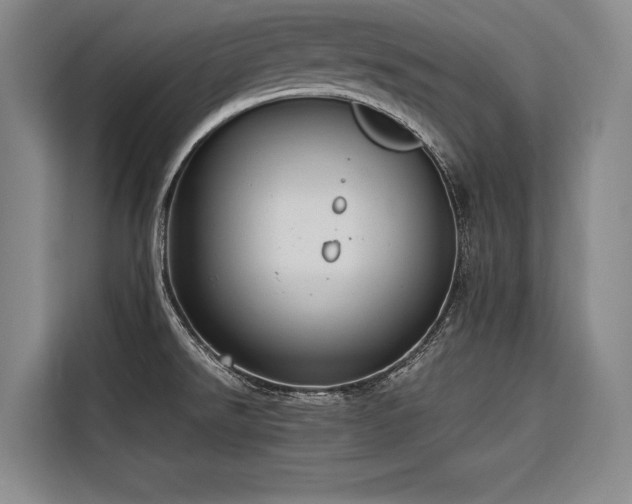 X0000116661526200912141310