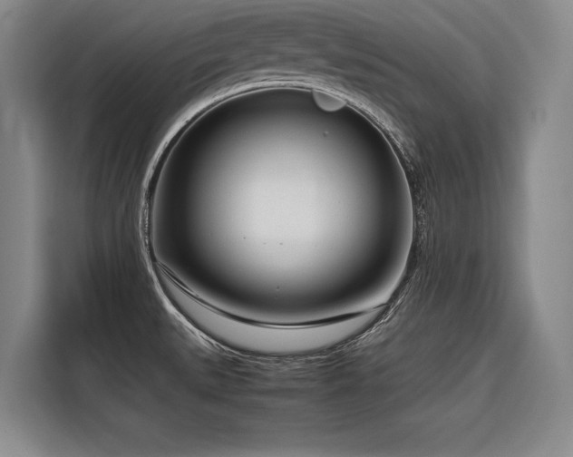 X0000116661527200912141310