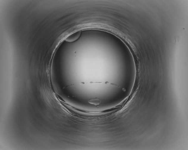 X0000116661529200912141310