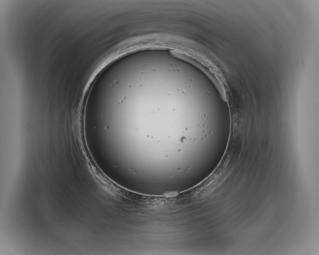 X0000116661530200912141310