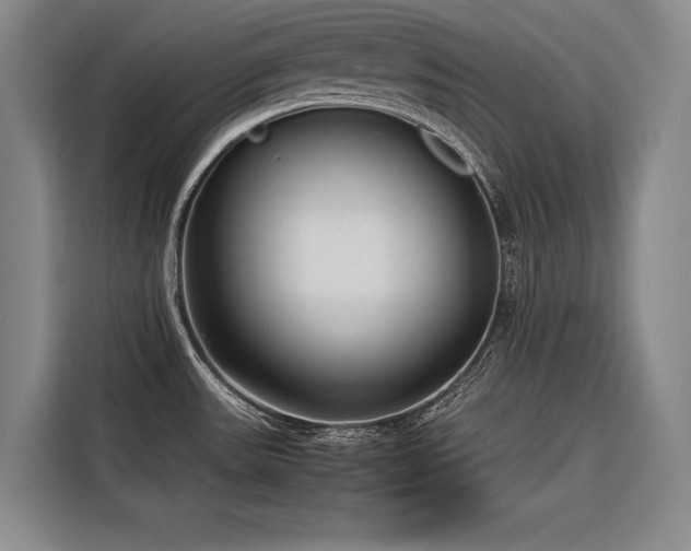 X0000116661531200912141310