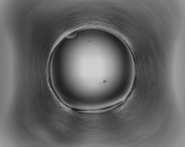 X0000116661533200912141310