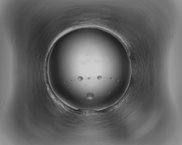 X0000116661534200912141310