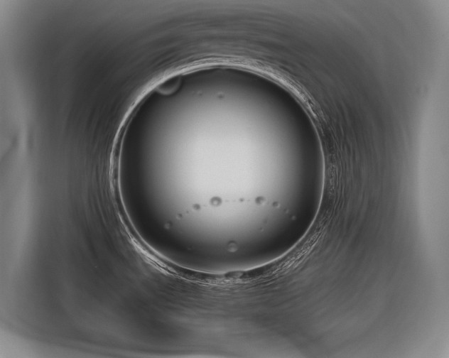 X0000116661535200912141310