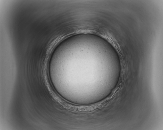 X0000116660001200912211516