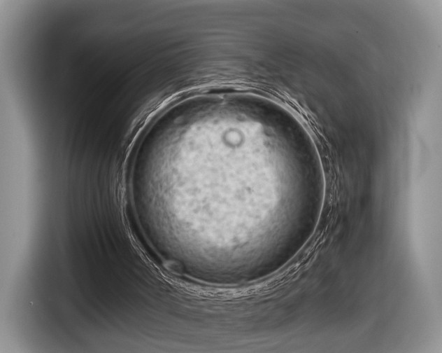 X0000116660002200912211516