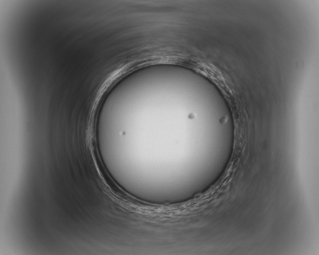 X0000116660003200912211516