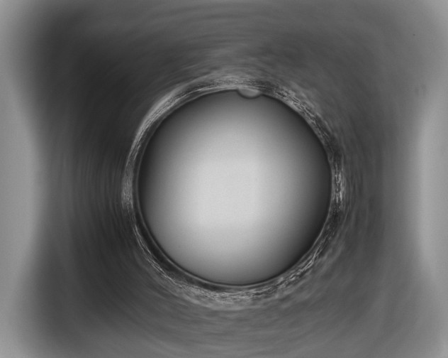 X0000116660004200912211516