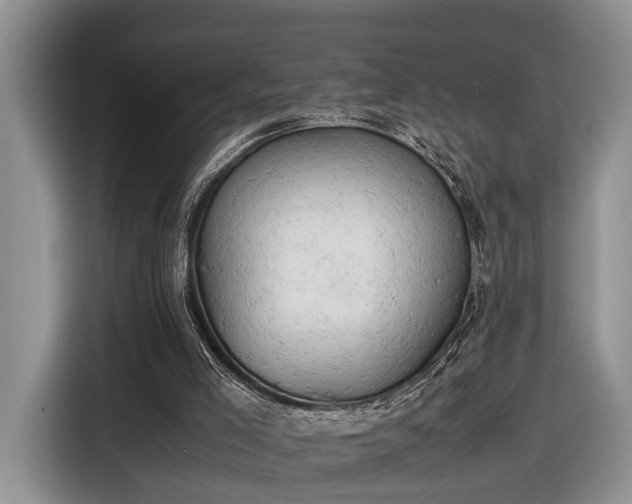 X0000116660005200912211516