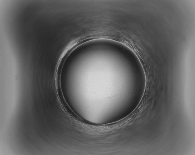 X0000116660006200912211516