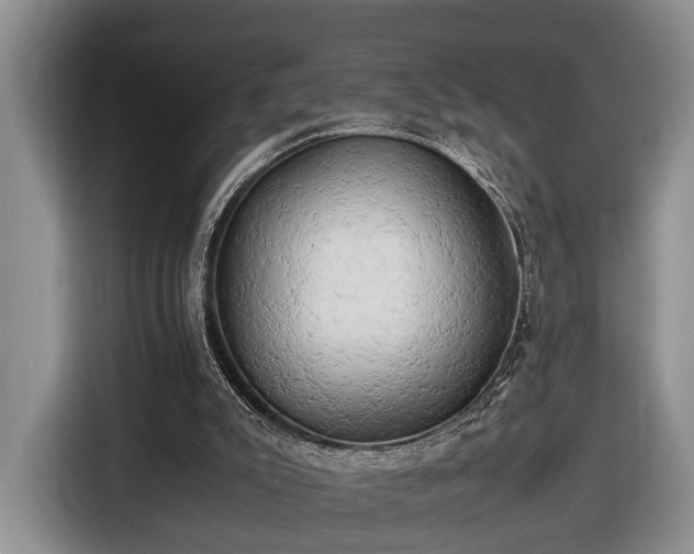 X0000116660007200912211516