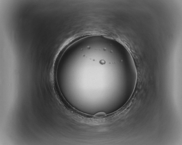 X0000116660008200912211516