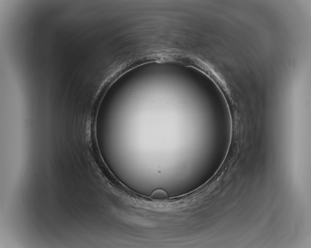 X0000116660010200912211516