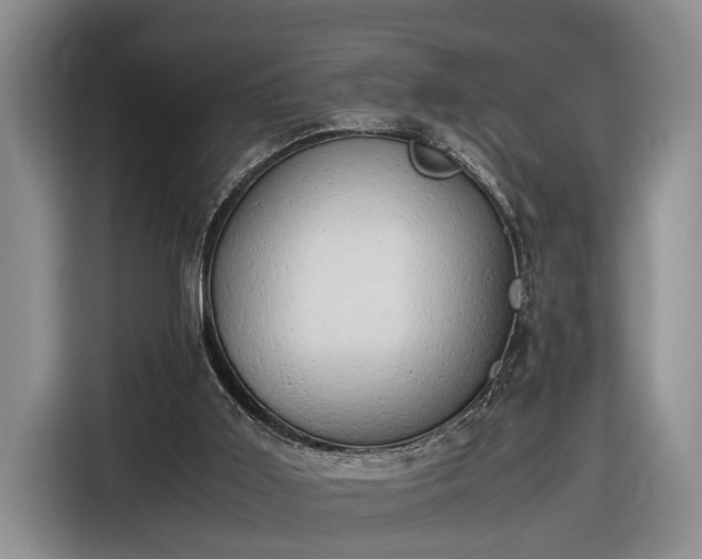 X0000116660011200912211516