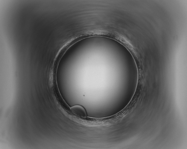 X0000116660012200912211516