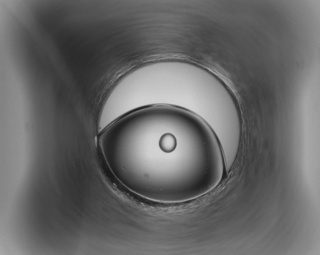 X0000116660013200912211516