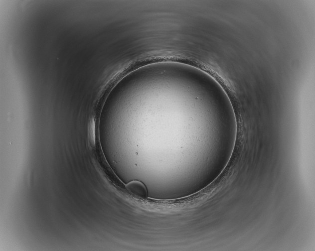 X0000116660014200912211516