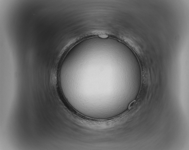 X0000116660015200912211516