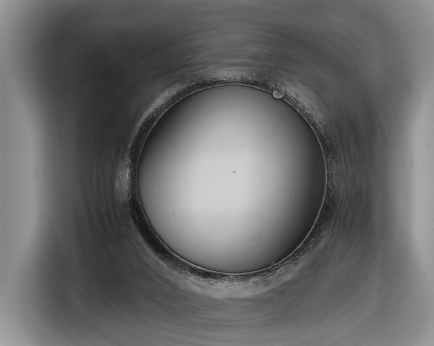 X0000116660016200912211516