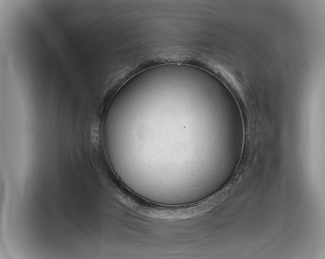 X0000116660017200912211516