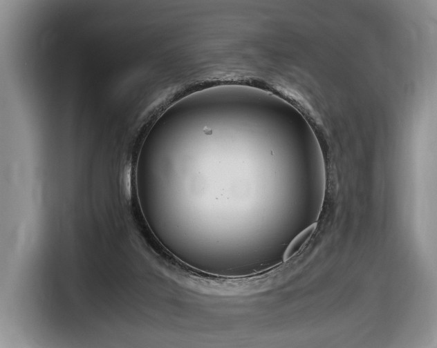 X0000116660019200912211516