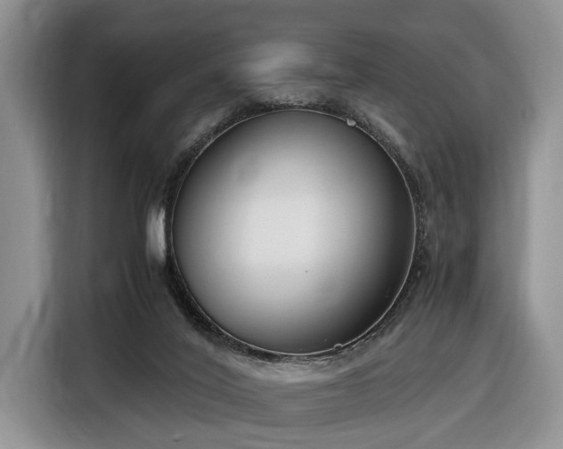 X0000116660020200912211516