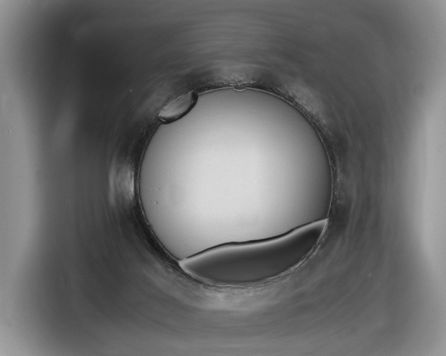 X0000116660021200912211516