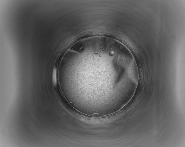 X0000116660022200912211516