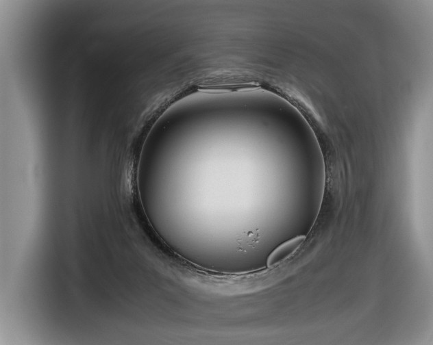 X0000116660023200912211516