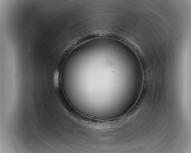 X0000116660024200912211516