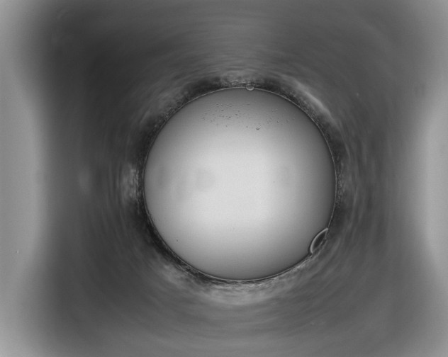 X0000116660025200912211516