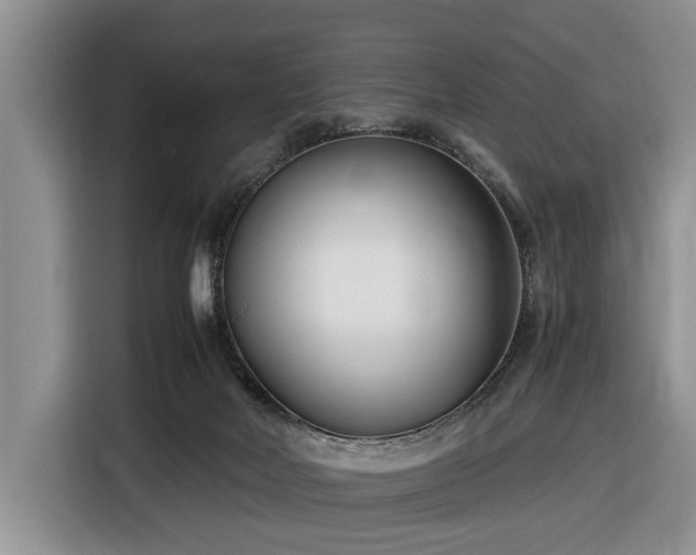 X0000116660026200912211516