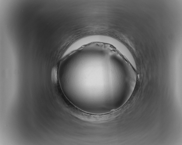 X0000116660027200912211516