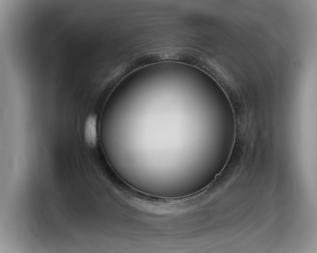 X0000116660028200912211516