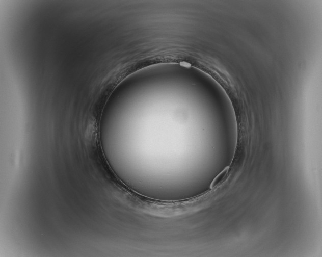 X0000116660029200912211516