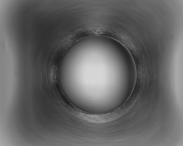 X0000116660030200912211516