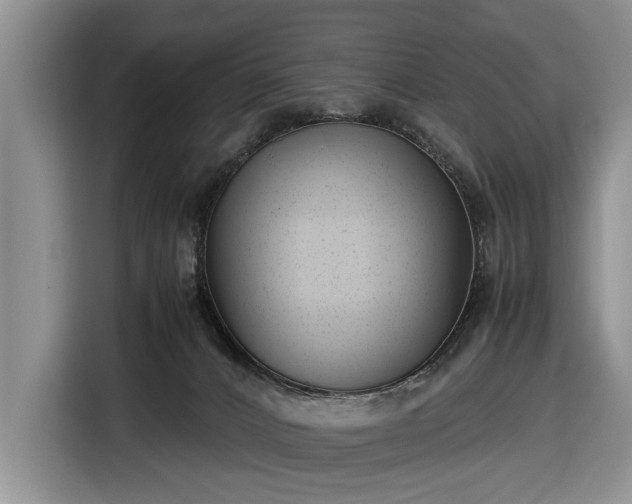 X0000116660032200912211516