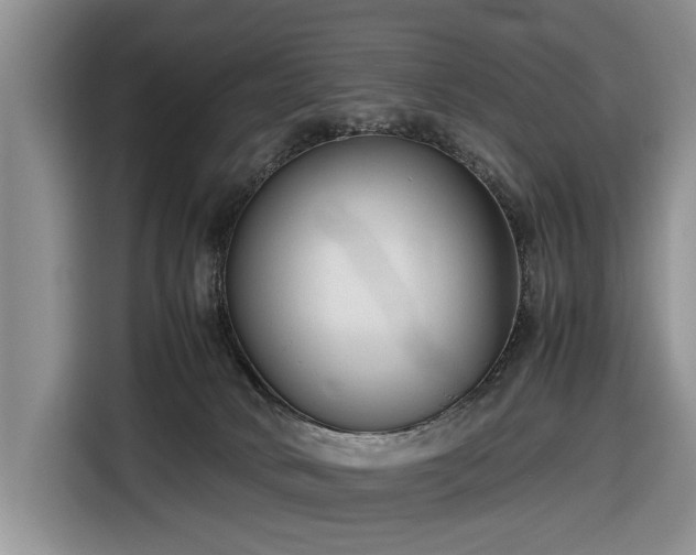 X0000116660034200912211516