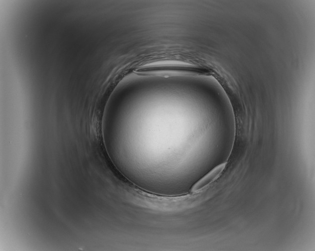 X0000116660035200912211516