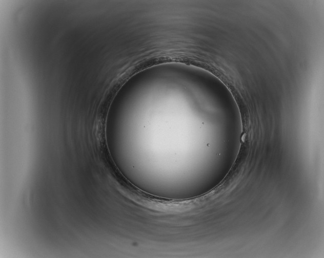 X0000116660036200912211516