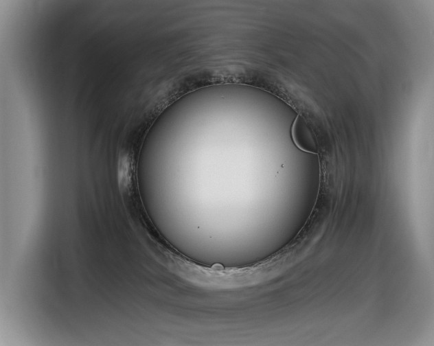 X0000116660038200912211516